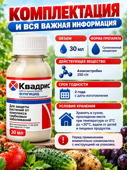 Квадрис Фунгицид от болезней растений 30мл, 30 мл, фото 2