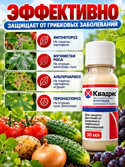 Квадрис Фунгицид от болезней растений 30мл, 30 мл, фото 4
