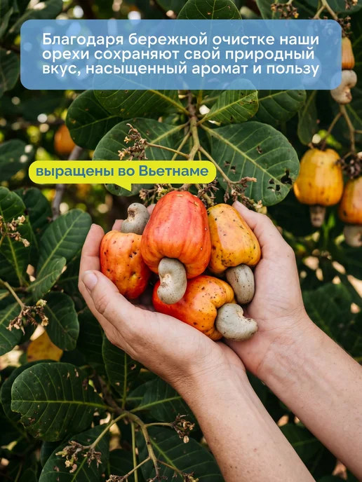 Кешью жареный отборный, 500 г, 500 г, фото 8