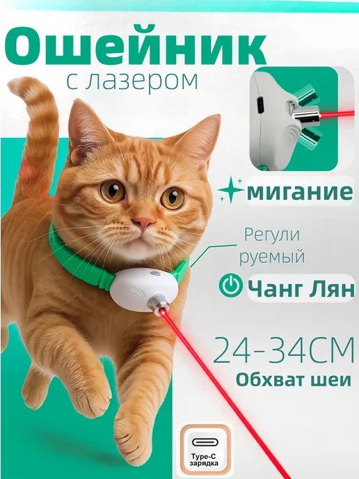 Лазерная указка для игрушек для домашних животных, вариант