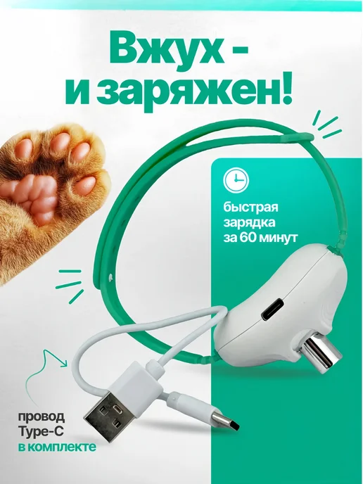 Лазерная указка для игрушек для домашних животных, вариант, фото 2