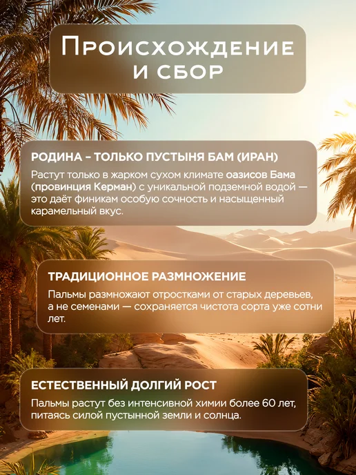 Финики Мазафати без сахара натуральные 1000 гр. сухофрукты, 1000 гр, фото 4