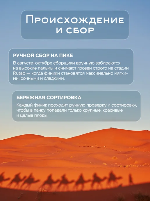 Финики Мазафати без сахара натуральные 1000 гр. сухофрукты, 1000 гр, фото 5