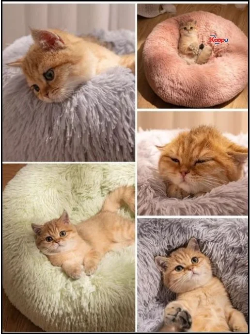 Эксклюзивный домик для питомца, вариант, фото 3