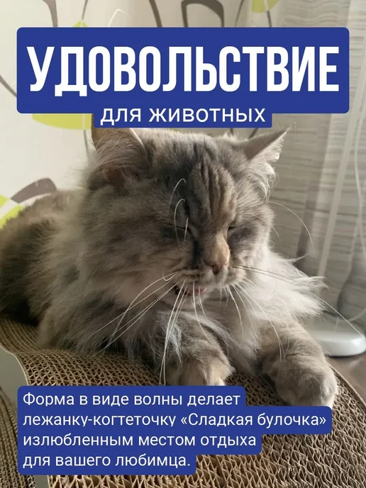 Когтеточка для кошек картонная Лежанка - когтеточка Эклер, вариант, фото 7