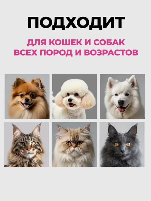 Уход за шерстью кошек и собак дома, вариант, фото 3