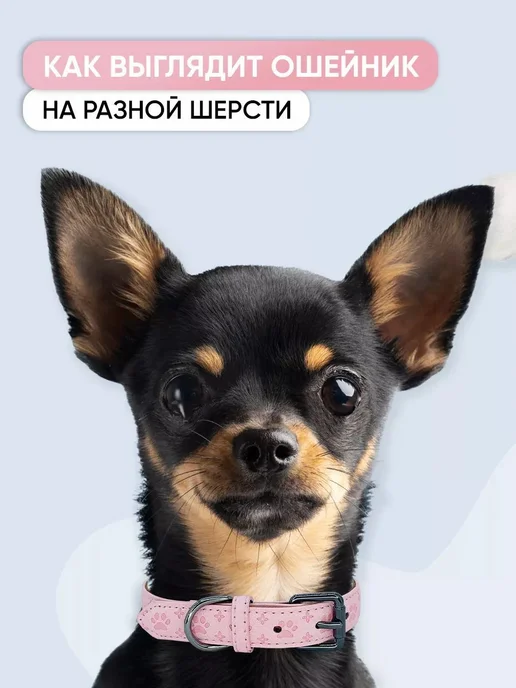 Розовый кожаный ошейник для собак и щенков всех пород, M, розовый, фото 5