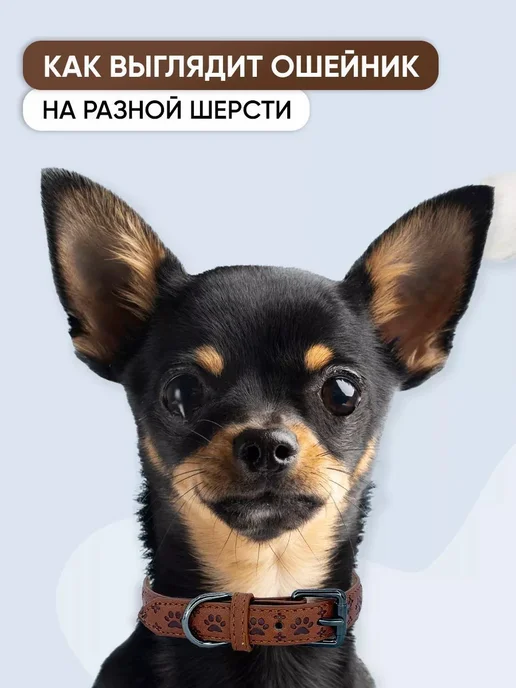 Коричневый кожаный ошейник для собак и щенков всех пород, L, коричневый, фото 5