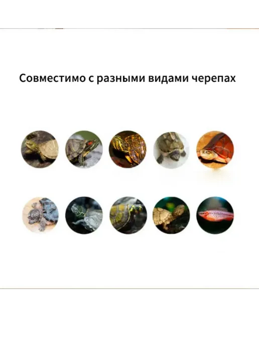 аквариум для, 40*20*21 см, 40x20, фото 4