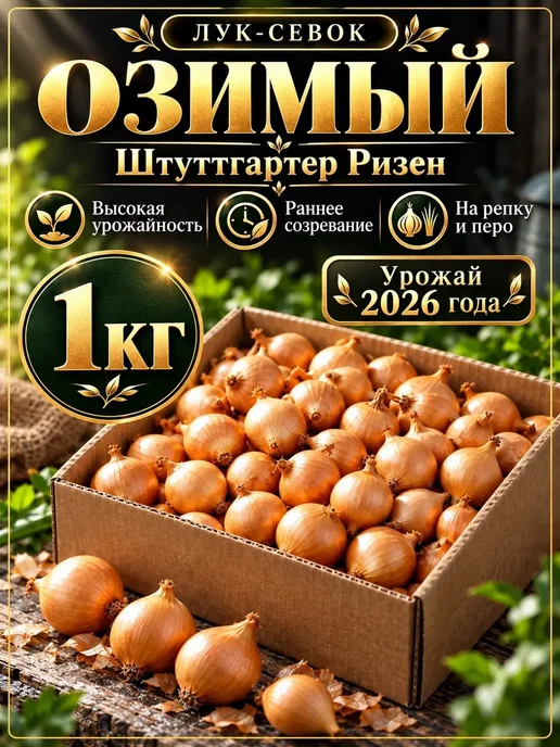 Лук севок для посадки под зиму Штуттгартер Ризен 1 кг, 1 кг