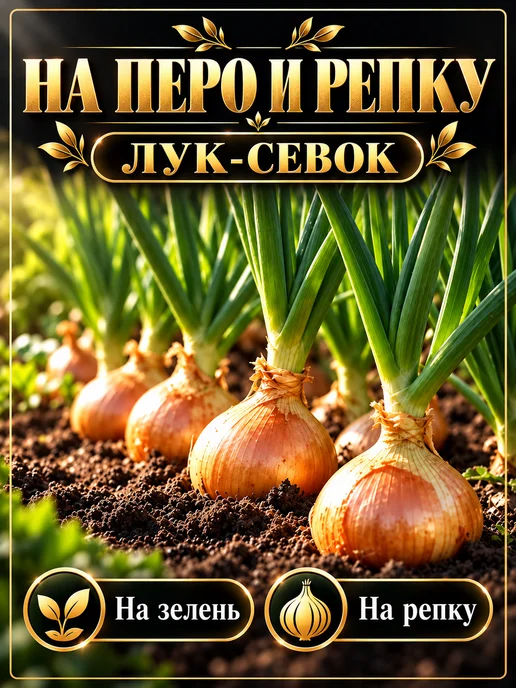 Лук севок для посадки под зиму Штуттгартер Ризен 1 кг, 1 кг, фото 3