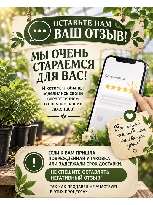 Лук севок для посадки под зиму Штуттгартер Ризен 1 кг, 1 кг, фото 6