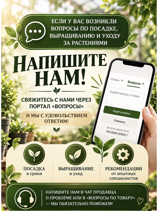 Лук севок для посадки под зиму Штуттгартер Ризен 1 кг, 1 кг, фото 7