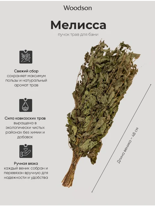 Веник для бани из мелиссы, пучок, травазапарник сухоцвет, вариант