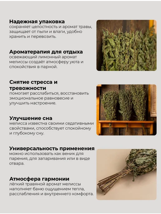 Веник для бани из мелиссы, пучок, травазапарник сухоцвет, вариант, фото 2