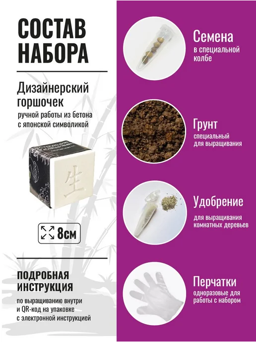 Набор для выращивания растений бонсай. Кипарис, вариант, фото 2