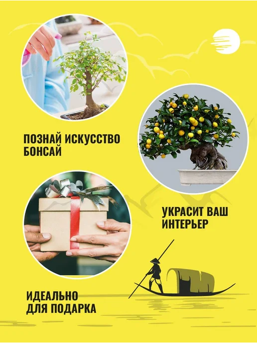 Набор для выращивания растений бонсай. Лимон, вариант, фото 3