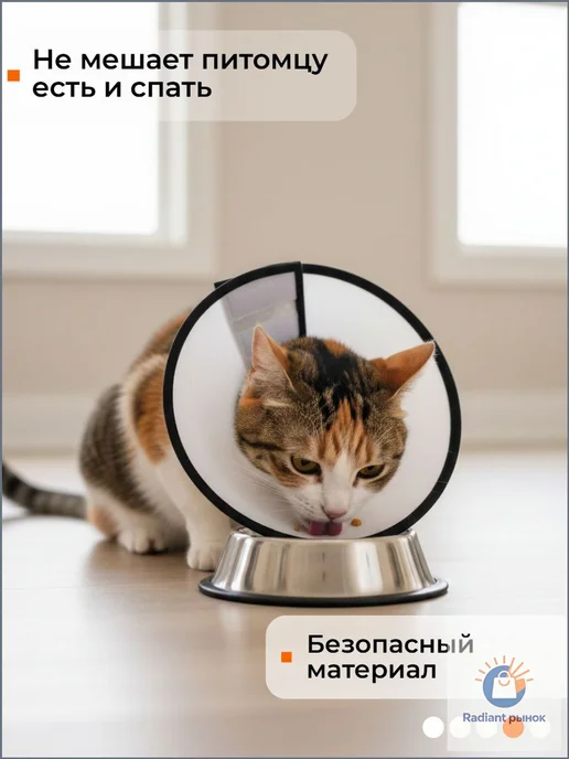 Воротник ветеринарный для кошек и собак послеоперационный на, вариант, фото 4