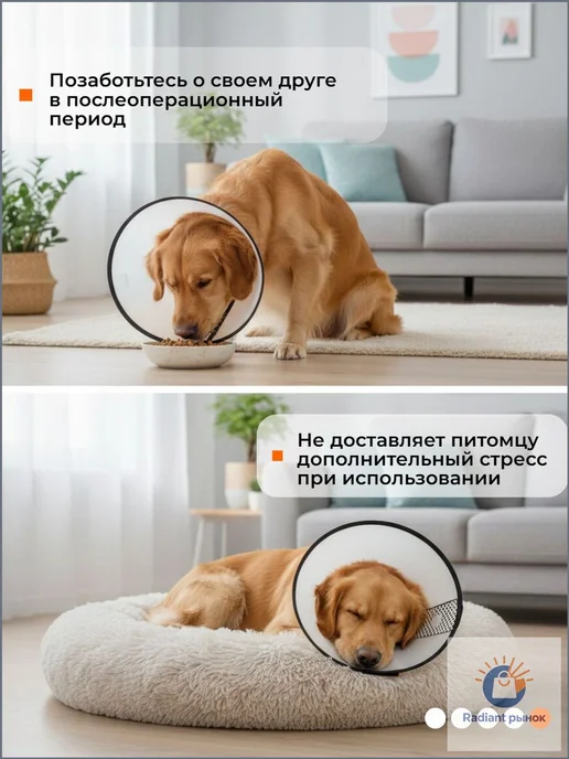Воротник ветеринарный для кошек и собак послеоперационный на, вариант, фото 5