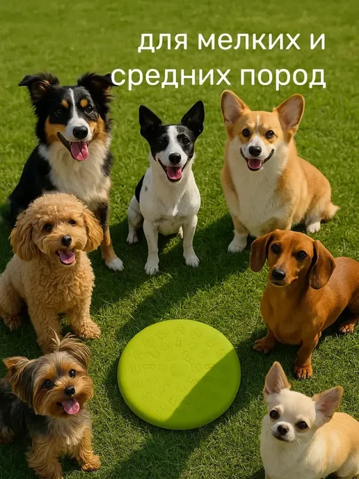 Фрисби для собак крупных и средних пород 23 см, зеленый, фото 4