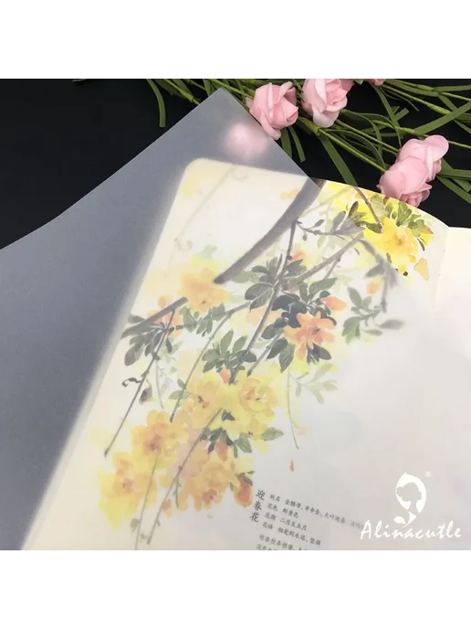 alinacutle Бумага для скрапбукинга Alinacraft, 155gsm, 20 шт, 20 шт, фото 5