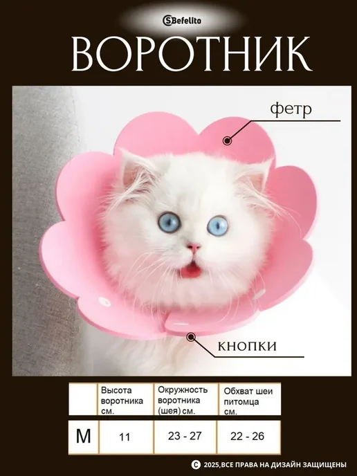 Елизаветинский ветеринарный воротник для кошек и маленьких M, вариант