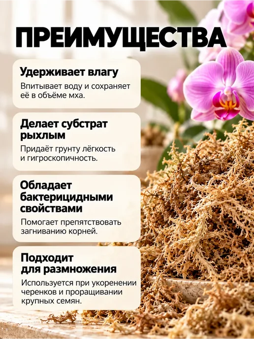ООО Биотехнологии Мох сфагнум для растений 2 л, 2 л, фото 2