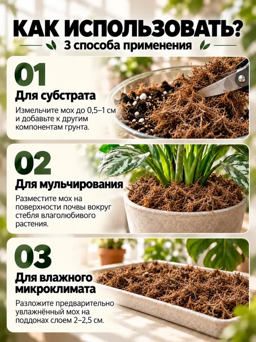 ООО Биотехнологии Мох сфагнум для растений 2 л, 2 л, фото 3