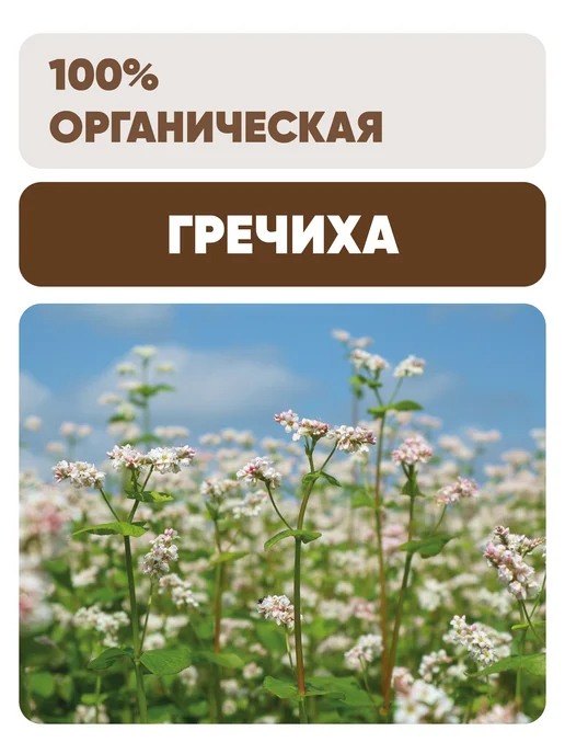 Крупа Чёрный хлеб гречневая быстроразваривающаяся, органичес, черный, фото 4