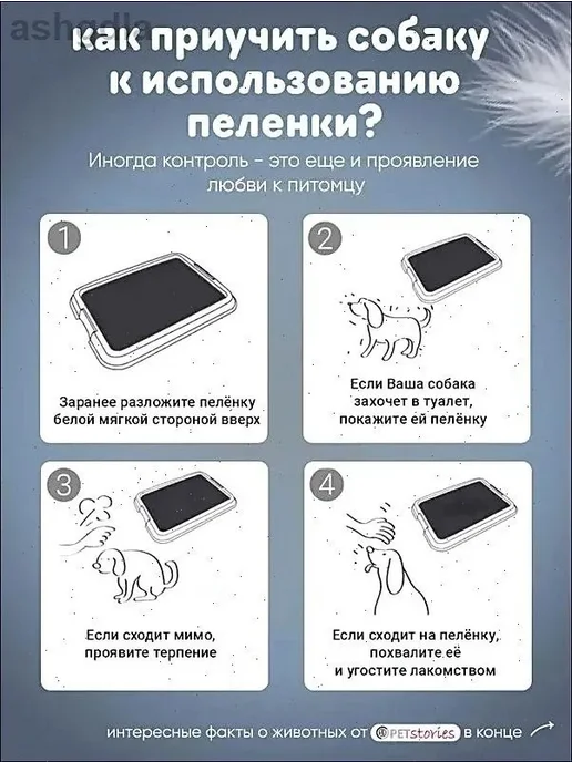 Пеленки для собак одноразовые S 33x45 см, 33x45 см, фото 2