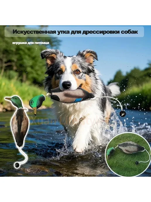 Поноска для охотничьей собаки, муляж кряквы, вариант, фото 2