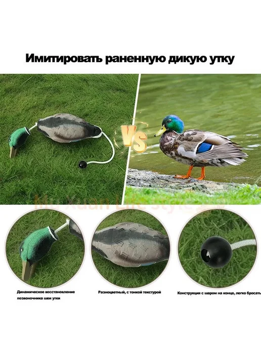 Поноска для охотничьей собаки, муляж кряквы, вариант, фото 4