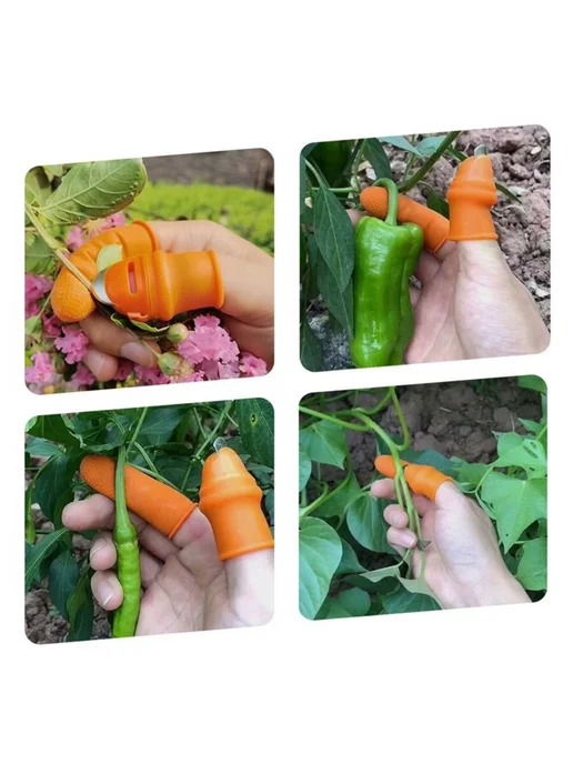 Greengo Плодосъемник, оранжевый, фото 8