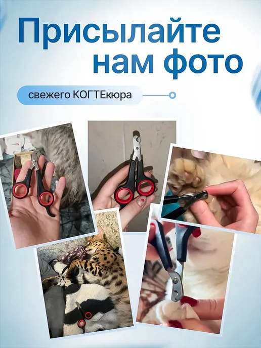 Когтерезка для кошек, ножницы для когтей, вариант, фото 7