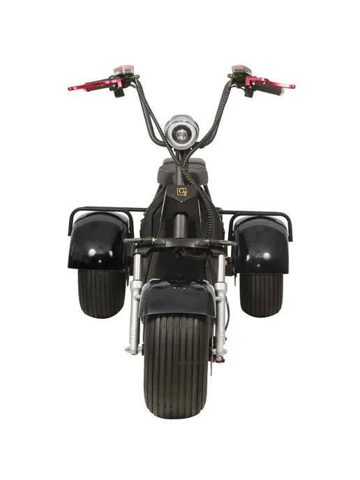 Трехколесный скутер CityCoco GT X7 trike (2000W, 60V 25Ah), 2000 Вт, фото 3