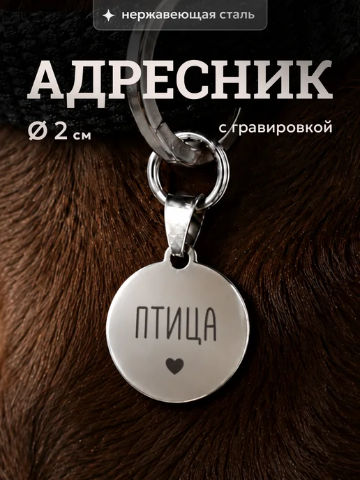 СУВА Адресник для собаки Птица, вариант