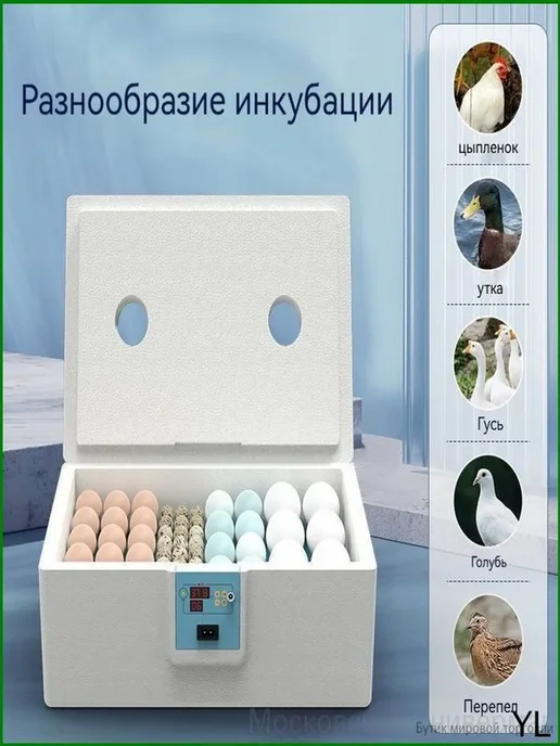 Инкубатор для яиц на 10–25 шт. с автоматическим переворотом, 25 шт, фото 8
