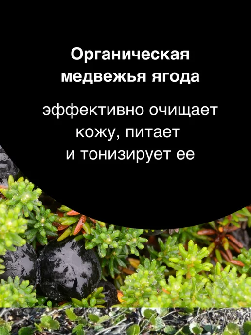 Нет бренда NATURA SIBERICA Лосьон-диски после бритья Sauna&Sport for Me, вариант, фото 5