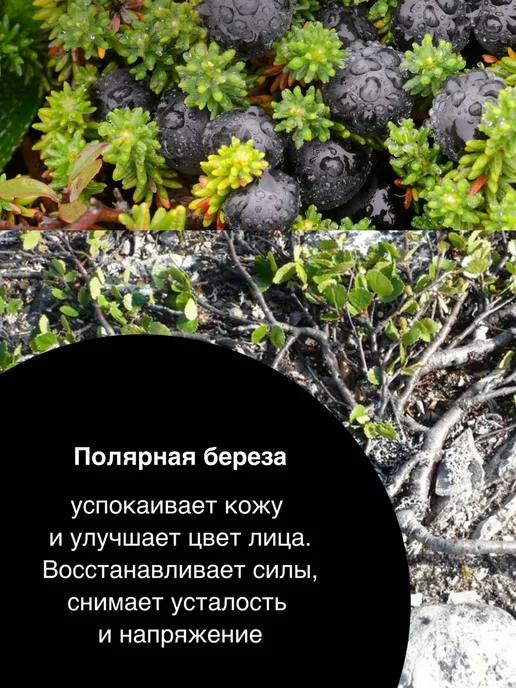 Нет бренда NATURA SIBERICA Лосьон-диски после бритья Sauna&Sport for Me, вариант, фото 6