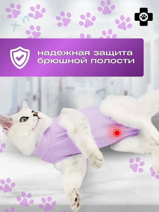 Попона послеоперационная для кошек размер эс, вариант, фото 5