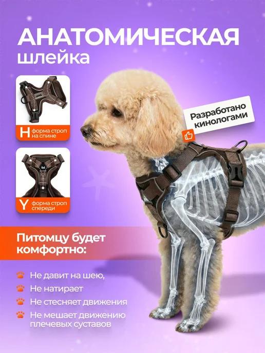 Шлейка для собак и кошек мелких и средних пород с поводком, вариант, фото 2
