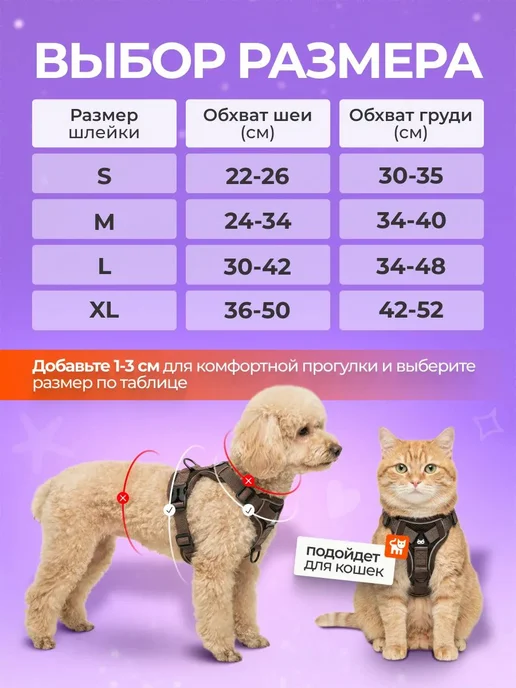 Шлейка для собак и кошек мелких и средних пород с поводком, вариант, фото 3