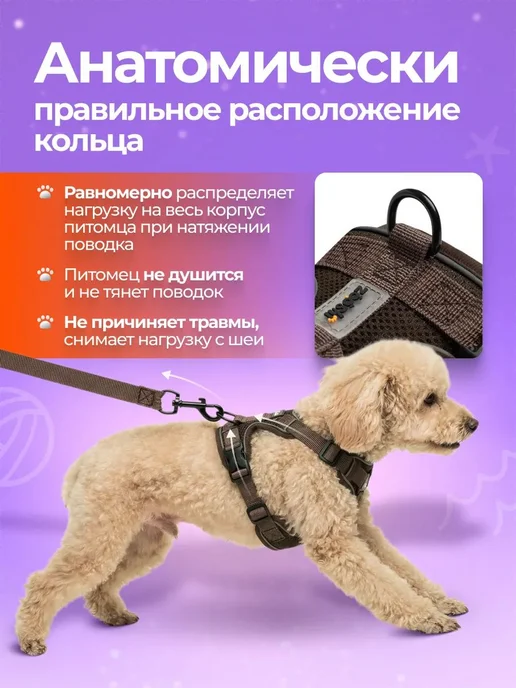 Шлейка для собак и кошек мелких и средних пород с поводком, вариант, фото 4