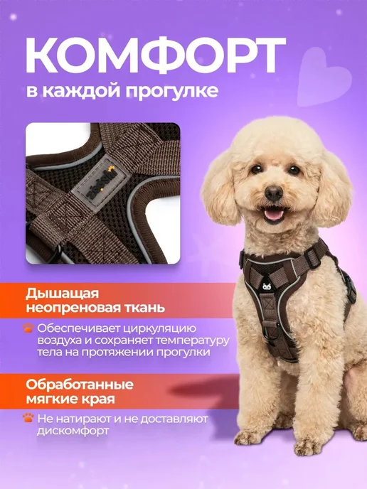 Шлейка для собак и кошек мелких и средних пород с поводком, вариант, фото 6