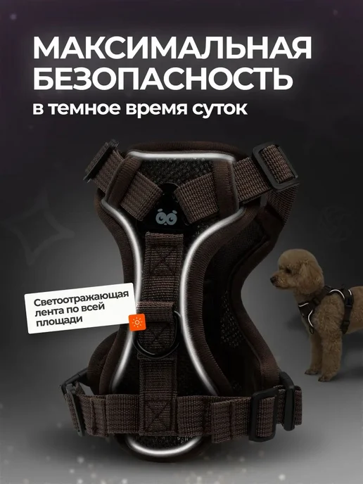 Шлейка для собак и кошек мелких и средних пород с поводком, вариант, фото 8