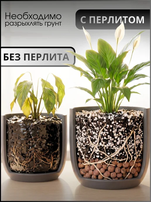Агроперлит для растений и цветов, дренаж, 5 литров, 25мм, вариант, фото 7