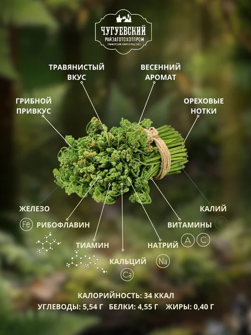Папоротник соленый орляк в рассоле дальневосточный дикорос 2, вариант, фото 3