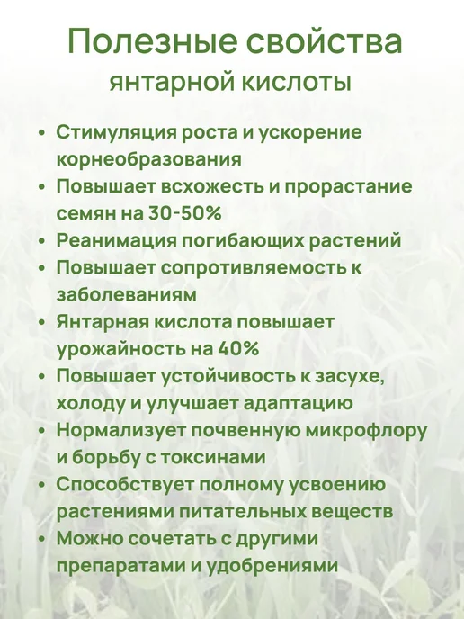 Янтарная кислота для растений 2,5 кг, 2,5 кг, фото 3